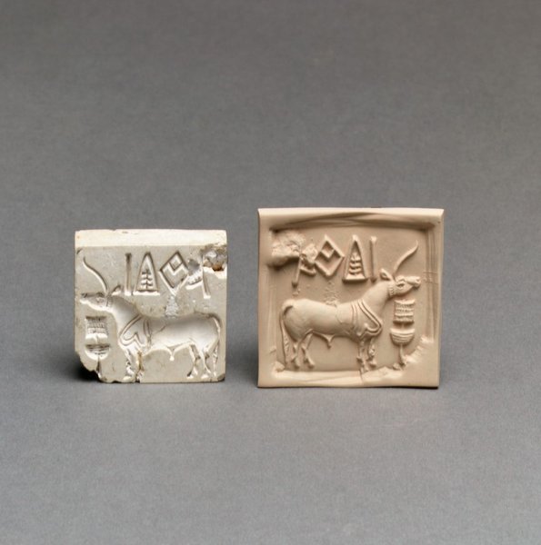 Писемність долини Інду