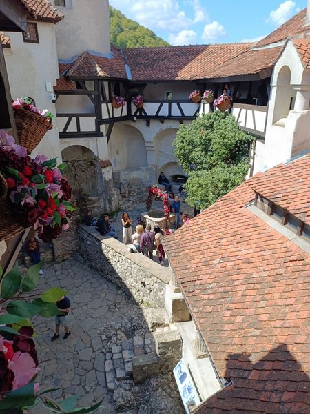 замок бран румыния замок дракулы