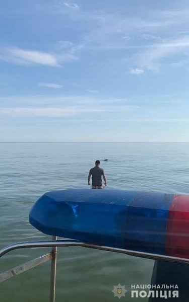 Дельфин, полиция, Херсонская область