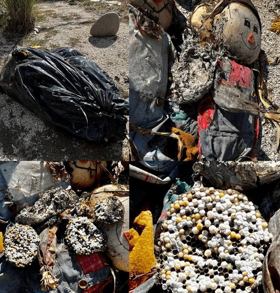 Осиное гнездо, осиный улей, осы, декоративные вещи, украшения, Хэллоуин, был напуган, под крыльцом