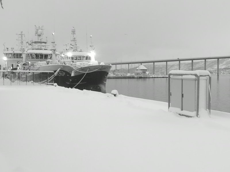 фото, Норвегия, зима, фьорды