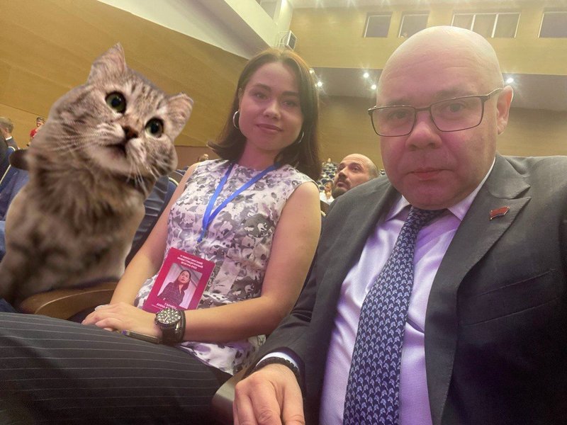 денис терехов, кошка лили, флешмоб