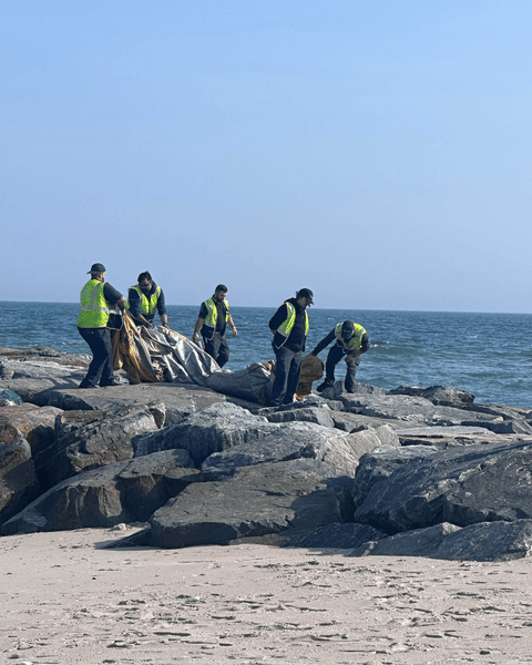 Аварийный трап выпал из самолета, надувной трап, часть самолета, проблемы с безопасностью, суд, подал иск, адвокат, самолет, лайнер, рейс