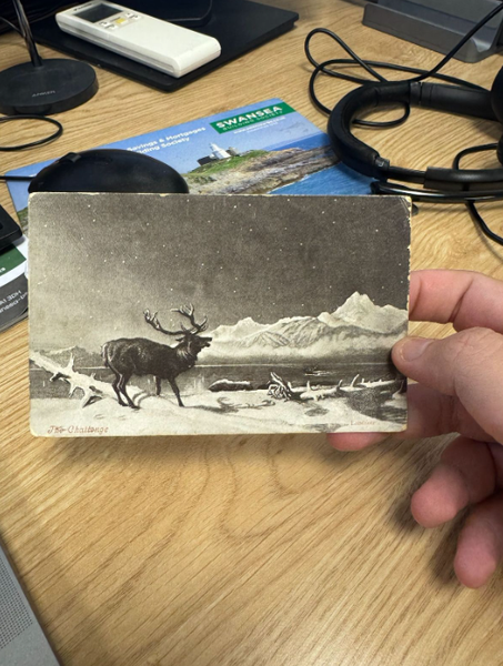 Открытку отправленную 121 год назад нашли, о чем говорится в этом послании, тайна, загадка, курьезы, потерянные вещи