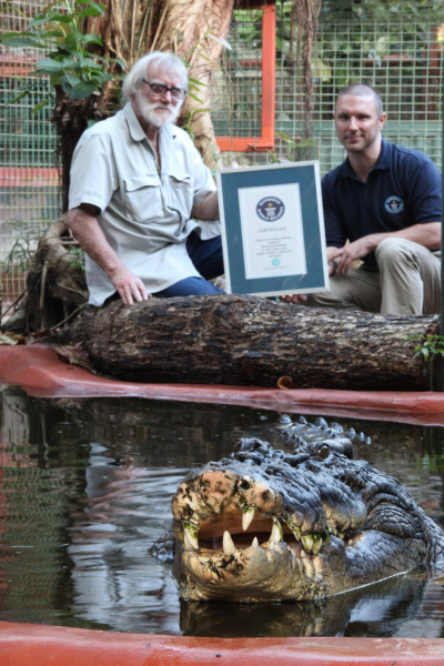 крокодил 2 b5254645 594f34a477669a54d61403f06ce242ca Економічні новини - головні новини України та світу