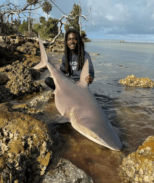 Рыбак с акулой, рыбак, акула, поймал акулу, огромная акула, морской хищник, животные, соцсети, курьезы, голыми руками