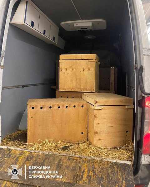 незаконный вывоз, контрабанда, экзотические животные, граница с Польшей, ГПСУ, Львовская область,