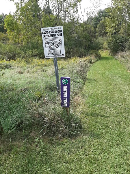 Радіотелескоп Грін-Бенк, електромагнітна гіперчутливість, електромагнітні хвилі