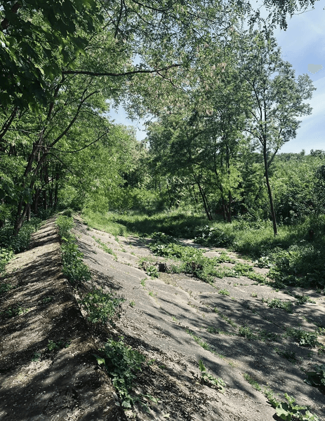 траса опеля історія фрн