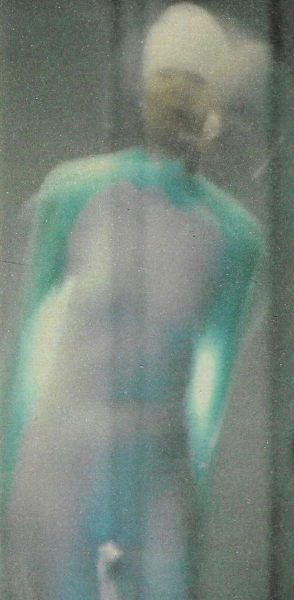 Чоловік думає, що сфотографував інопланетянина Чоловік думає, що сфотографував інопланетянина, знімки прибульців, НЛО, позаземні істоти, знімки професора,