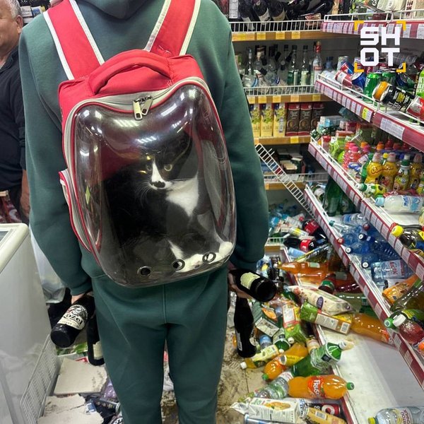 землетрясение на камчатке