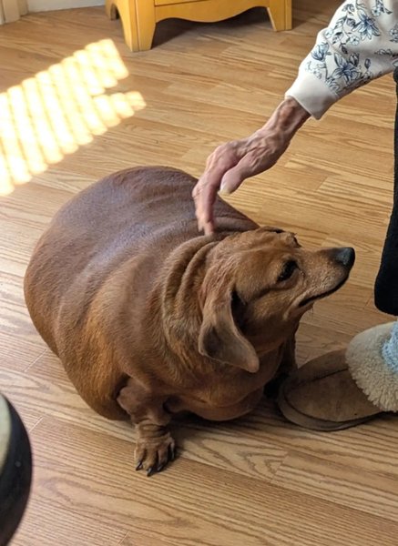 Вага такси сягала 25 кг, що було вдвічі більше за норму