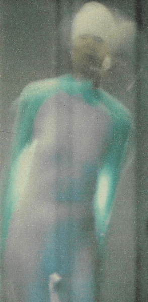 Мужчина думает, что сфотографировал инопланетянина, снимки пришельцев, НЛО, внеземные существа, снимки профессора,