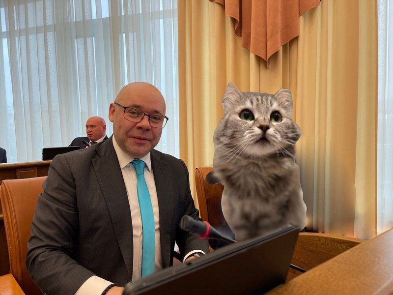 денис терехов, кошка лили, флешмоб