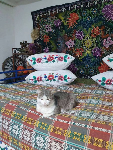 Сільська хата