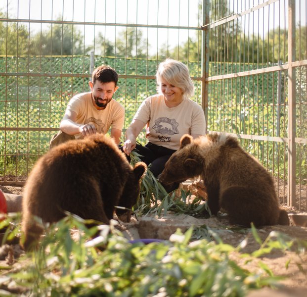 медведи, медвежий приют, защита медведей, спасение медведей, приют белая скала