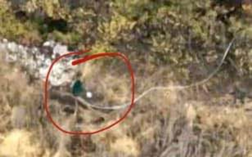 Антена ЗС РФ