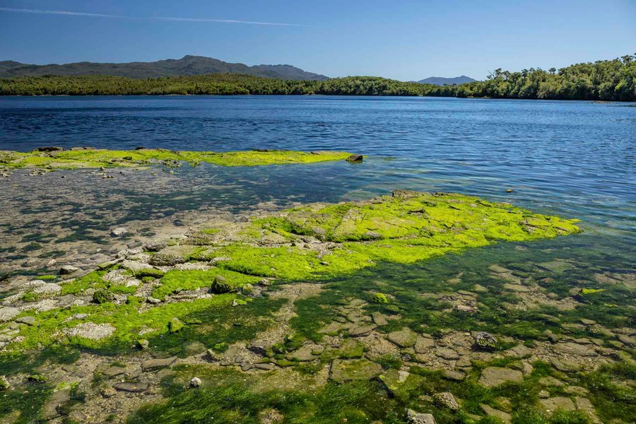 виргинский остров, патагония, частный остров, остров на продажу, чили