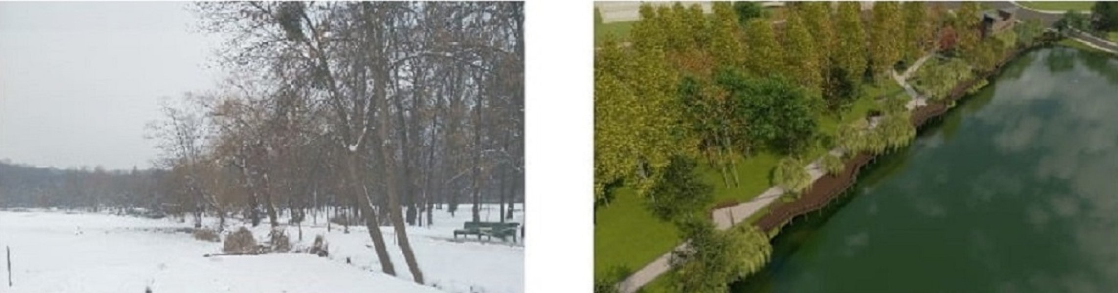 Голосеевский парк, Киев