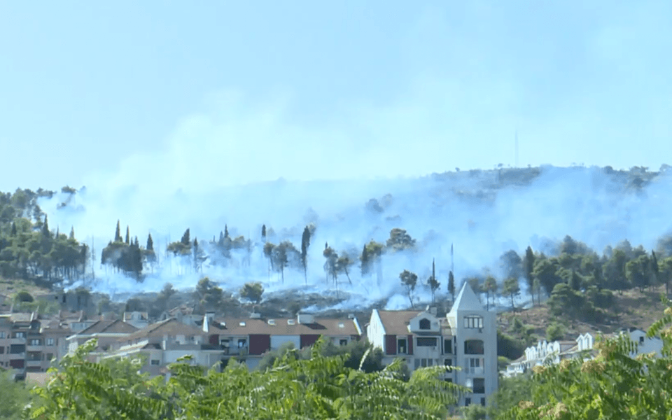 пожар в Черногории, лесной пожар