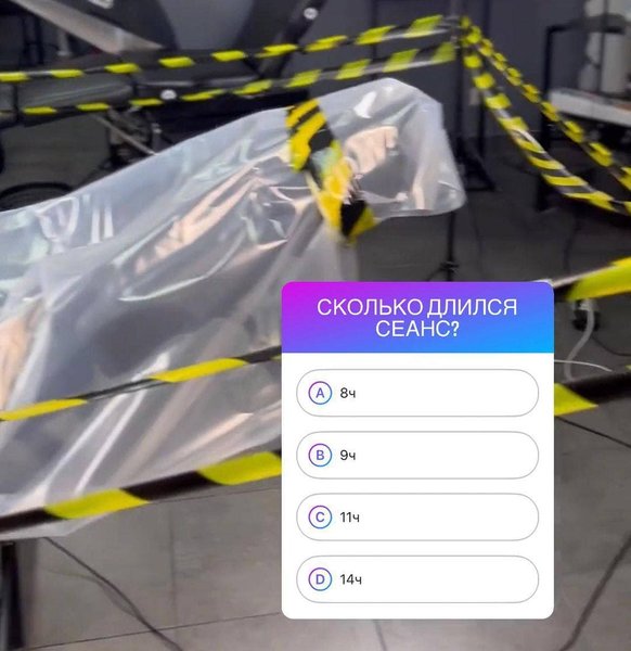 тату студия,  Lamarch tattoo, татуировка на свинье