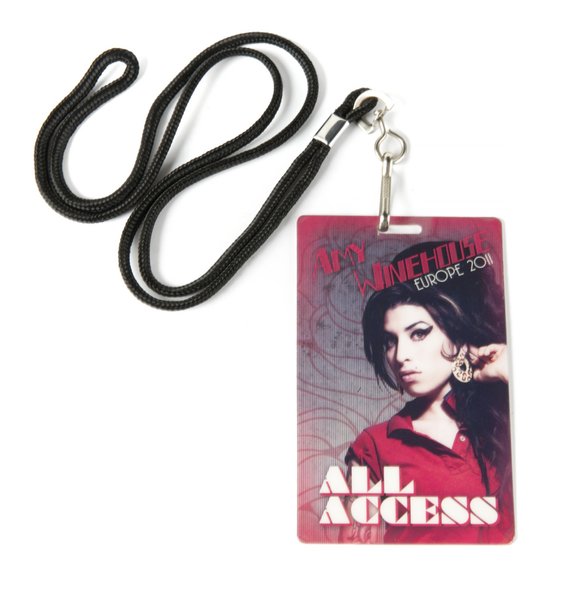 эми уайнхаус, последний концерт, последний тур