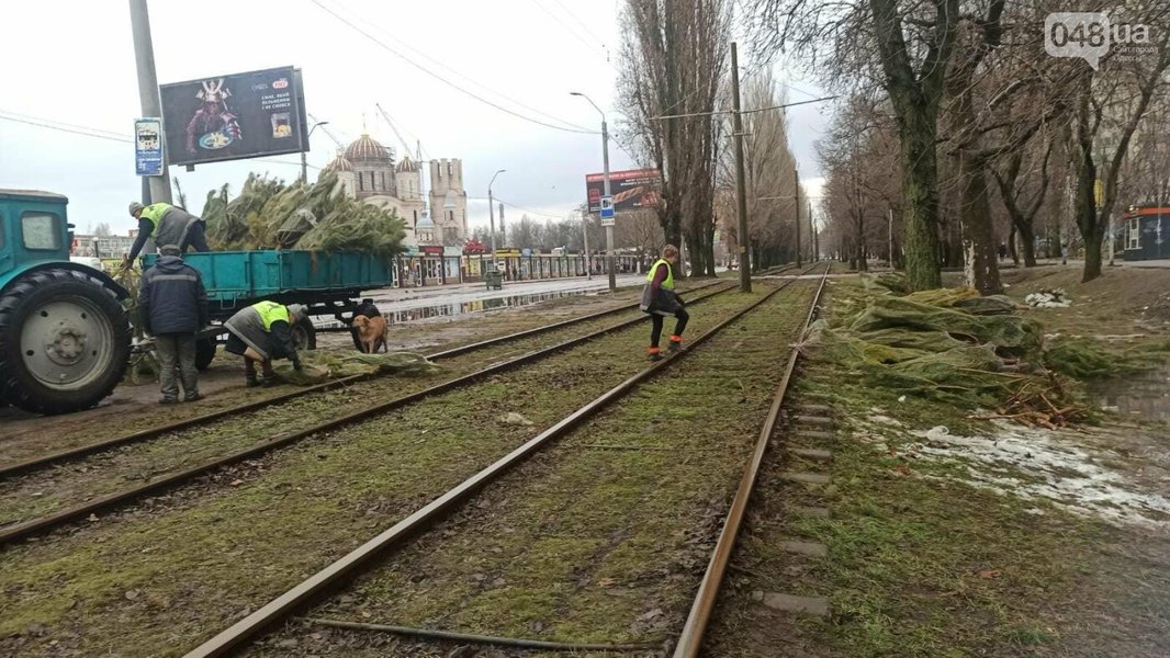елки в Одессе