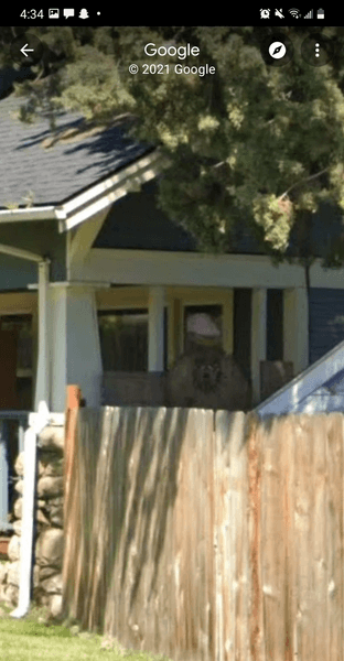 Жінка помітила привида, паранормальна сутність, Google Maps, загадкова фігура, вірусне фото, форум