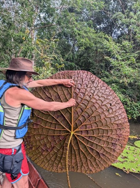 Обнаружен неизвестный науке вид: его нашли на фото в Instagram