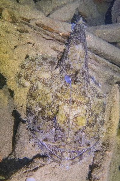 обломки, судно, вода, фото