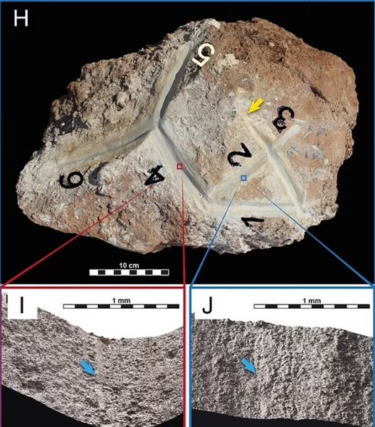 черепаха, скульптура