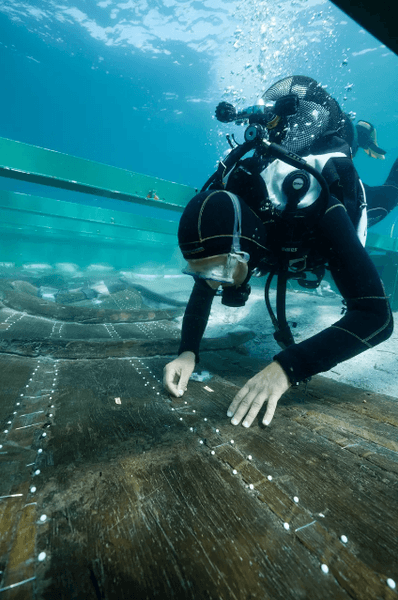 дайверы, корабль, затонувший корабль, судно, археологи, археология, исследования, море, лодка, древний корабль, древние люди, Хорватия, залив, Средиземное море