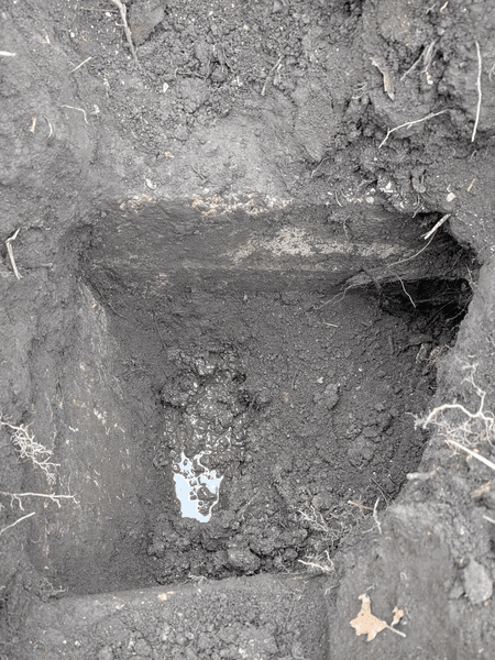 Знахідка сад