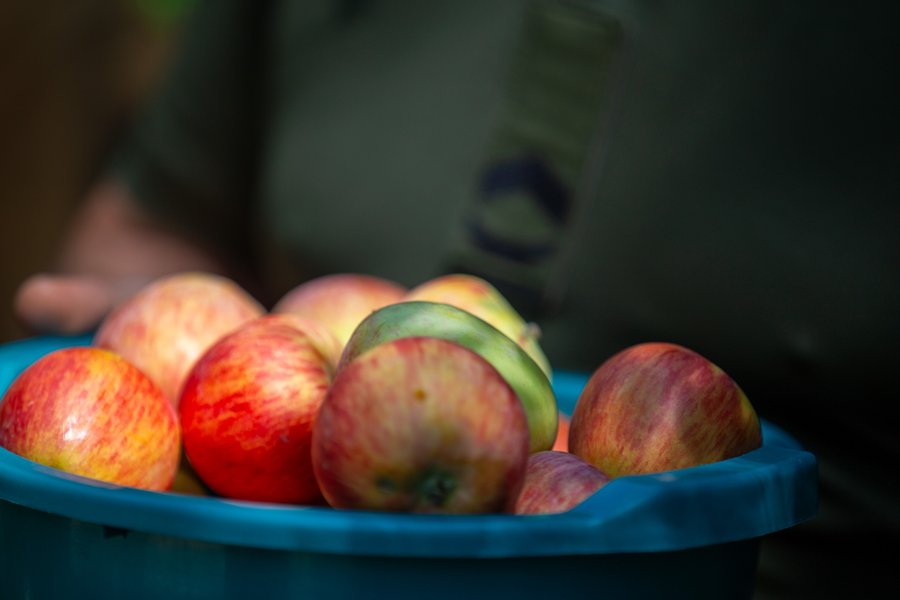 Яблучний Спас - 23 бригада