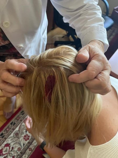 Устинова, голос, Верховная Рада