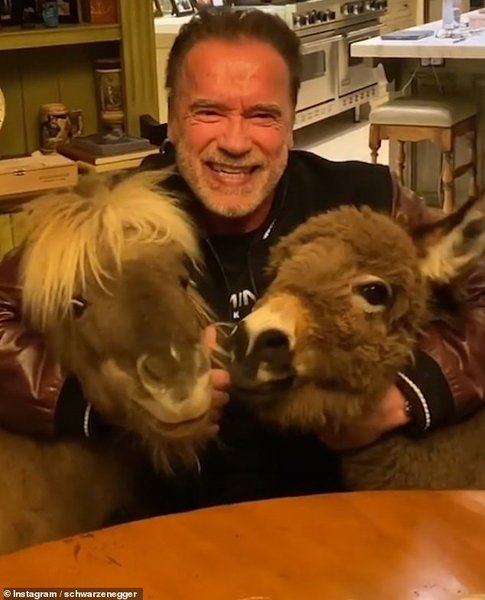 Арнольд Шварценеггер, коронавирус, карантин