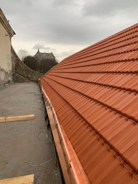 олесский замок