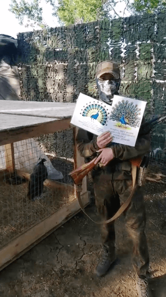 павлины, павлин, Россия, Липецкий зоопарк, гуманитарная помощь ВС РФ