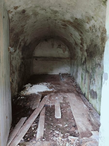 туннель новая зеландия