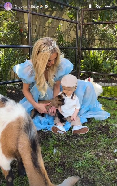 пэрис хилтон, день рождения феникса