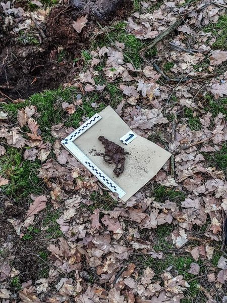 Такою зброєю вбили американського президента: у польському лісі знайшли револьвер XIX століття