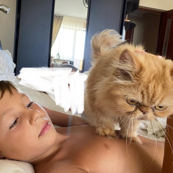 кошка Шафа, кошка Глория, кошка из Бородянки, зоопатруль