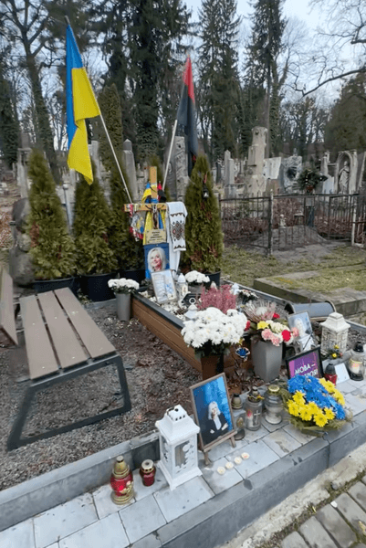 Ирина Фарион убийство