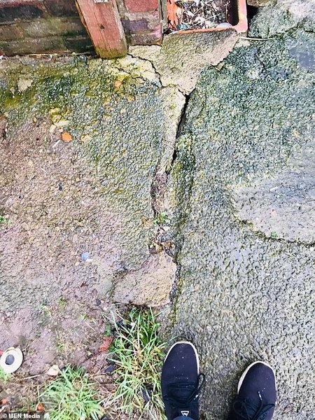 Жилье в Манчестере. Опасный сад