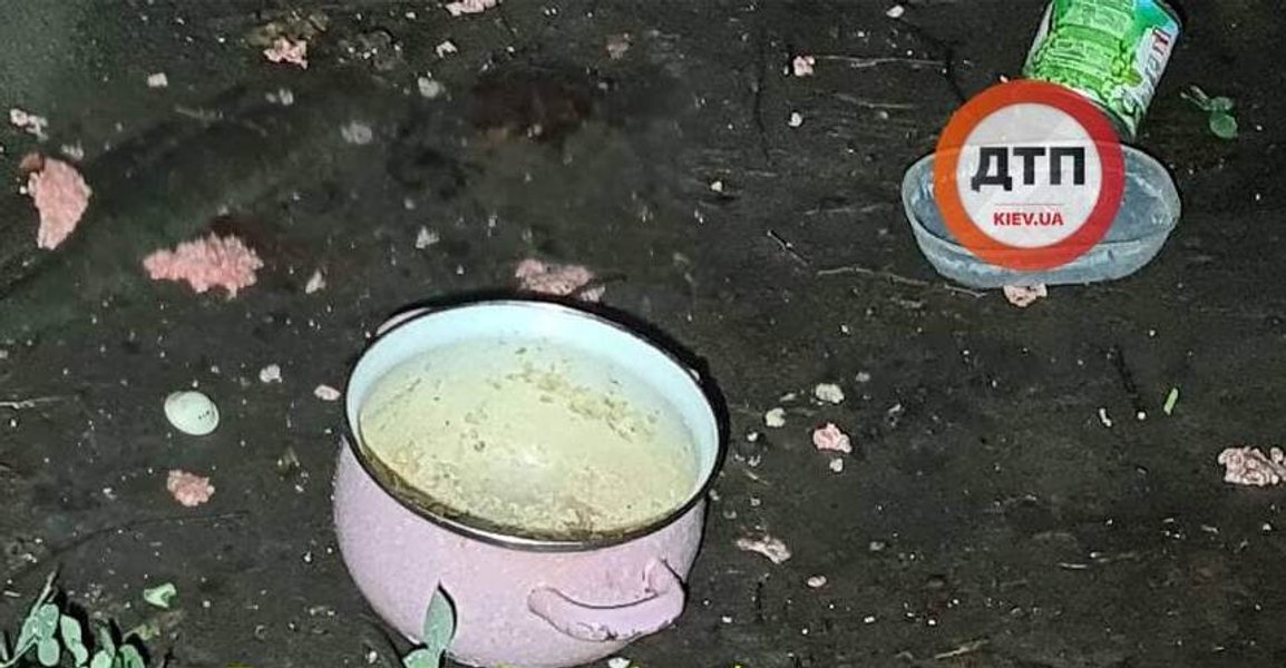 троещина, ватутина, ребенок, выбросили, окно, восьмого, этажа, пьяная