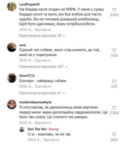 Советы ветеринара, породы собак, комментарии, болезни собак