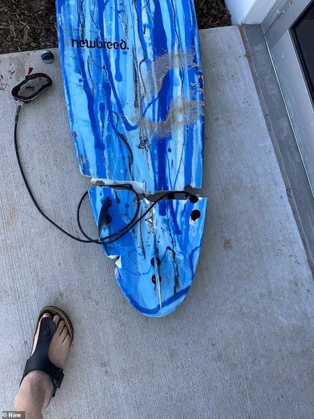 Доска для серфинга после зубов акулы