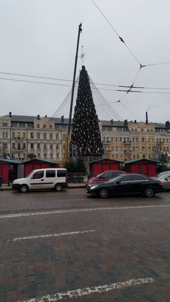 елка, киев, шляпа, звезда, новый год