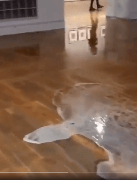 потоп в третьяковской галерее