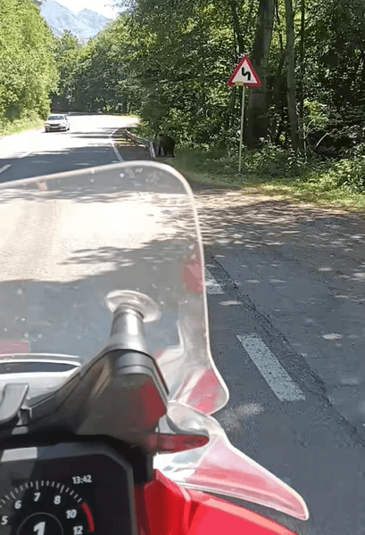 Турист заметил бурого медведя вблизи шоссе и решил его накормить несмотря на запрет